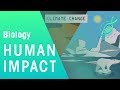 Environmental Impact and Conservation Issues