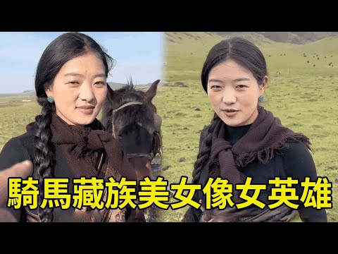 33:13偶遇藏族美女放犛牛，騎在馬上英姿颯爽像個女將軍，還熱心叫我騎馬搭帳篷【王一點】