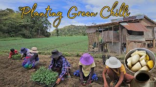 Tinulungan namin si uncle magtanim ng siling green | Nagharvest ulit kami ng kamatis | Mindoro 