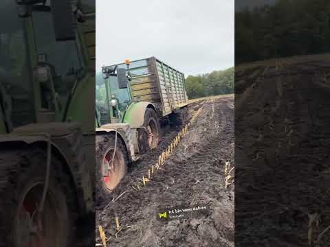 Hab das nächste Loch gefunden 🙈 #farming #fendt #bauernhof #maisernte