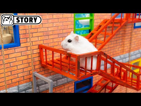 Hamster Robber escapes from Prison Maze - Shorts 🐹 Homura Ham