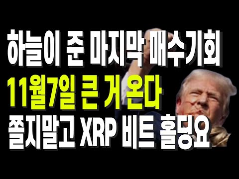 하늘이 준 마지막 매수기회 11월7일 큰 거 온다 쫄지말고 XRP 비트 홀딩요