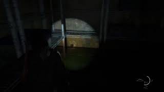 Czy brutalna rzeczywistość i perma death to dobry pomysł? |The Last of Us part 2