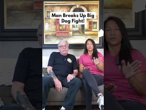 Man Breaks Up Big Dog Fight! #puppy #dogtraining #dogs Learn More https://linktr.ee/k9koncepts