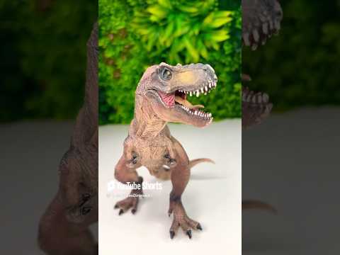 Evolution of Dinosaur Fossils