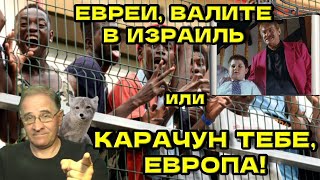 Евреи, валите в Израиль - или карачун тебе, Европа! | Новости 7-40, 10.7.2025
