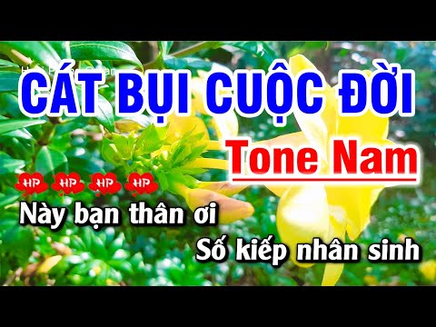 Cát Bụi Cuộc Đời Karaoke Nhạc Sống Tone Nam 2022 | Hoài Phong Organ