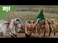 Yodeling Duets and Performance Reactions