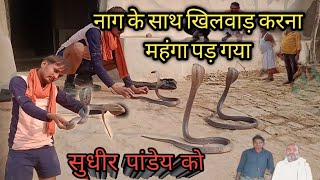 8 दिनों से पूरा परिवार काल के पास रह रहा था देंखे देश का सबसे जहरीला सांप #snake #cobra #rescue