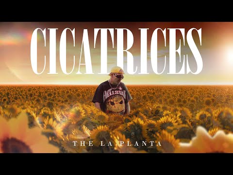 The La Planta - Cicatrices | Video Oficial 3D ( La Casa De La Cumbia Vol 1 ) 