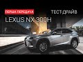 Lexus NX Sport+