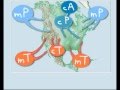 Exploring Air Masses Affecting New York