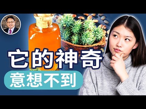 這瓶油竟能改善便祕、濕疹、掉髮？蓖麻油的神奇功效與正確用法！｜四維健康