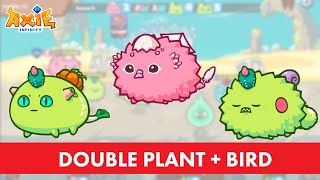 Is Double Plant + Bird Good in Arena? | Axie Infinity