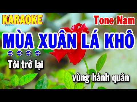 Karaoke Mùa Xuân Lá Khô Tone Nam Nhạc Xuân Dễ Hát Nhất 2025 | Thanh Hải