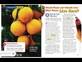 Impacts of Invasive Species