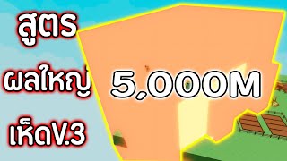 สูตรบัคเห็ดผลใหญ่ V.3!! ทำผลเมเปิ้ล 5,000ล้าน!! รีบทำก่อนโดนแก้ | Roblox Grow a Garden