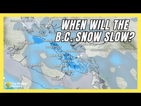 Heavy Snowfall and Arctic Outflow Continue For The B.C. South Coast | #forecast