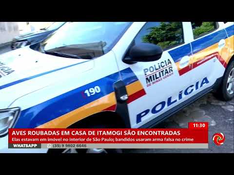 Pássaros roubados em Itamogi são recuperados em São Paulo