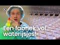 Waterijsjes Productie en Smaken