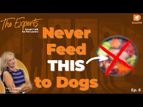 Feeding This? It Could Be Harming Your Dog | Ep. 6