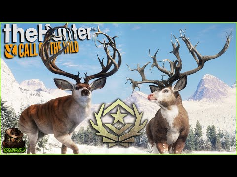 The First 2 Great One Mule Deer Revealed! Snowfall Update Patch Notes & More! Call of the wild