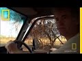 Wildlife Observation Techniques and Insights