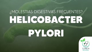 ¿Sufre de molestias digestivas frecuentes? Helicobacter Pylori #clinicadrvega #helicobacterpylori