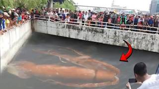 Un dron entró en un río restringido y capturó lo que nadie debía ver!