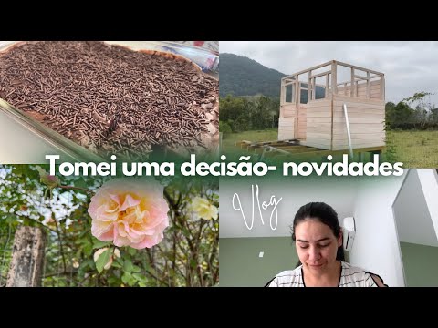 VLOG 🏡 NOVIDADES POR AQUI ♥️ decisão, bolo e primeira colheita