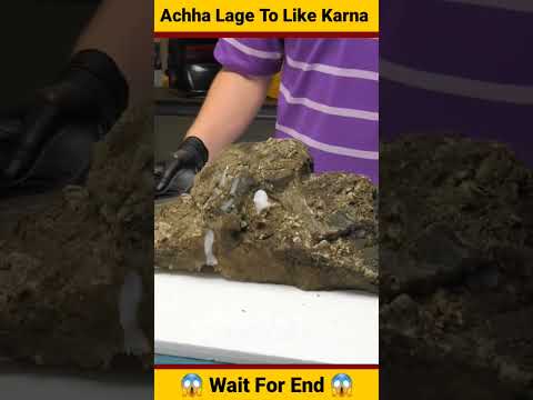इन्सान हो तो इस भाई जैसा || ??.... || Amazing Video #surajsharma #ssrightinformationworld