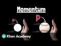 Understanding Momentum and Its Applications