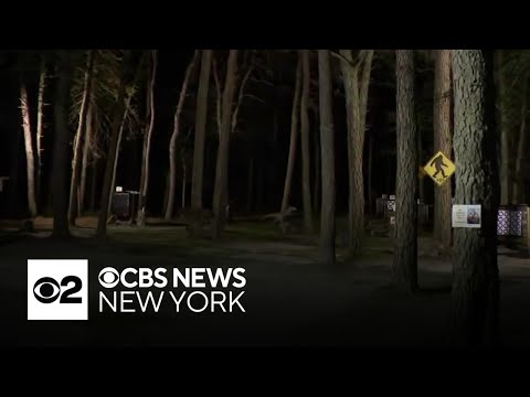 1 dead, 14 others hurt after lightning strike in New Jersey