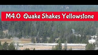 M4.0 Quake Shakes Yellowstone’s Faults, Windows Rattle, Items Fall