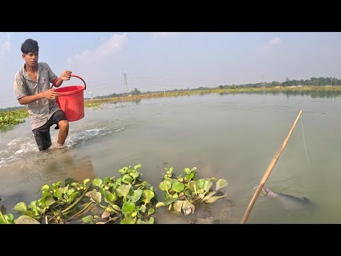 Rural Boy Bamboo Hook Fish Trap Fishing|Big Fishing Video| #catchfish