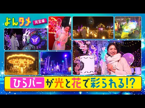 ひらパーが光と花で彩られる!?「光の遊園地～Flowering Illumination～」