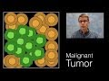Exploring the Basics of Cancer and Cell Growth
