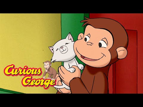 George's Kitten Fever! 🐵 Curious George 🐵 Kids Cartoon 🐵 Kids Movies