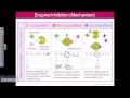 Enzyme Inhibition Mechanisms