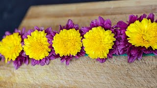 இப்படி ஒரு முறை பூ கட்டி பாருங்க/ sevanthi poo katuvathu epadi/ sevanthi flower/ bridal flower 