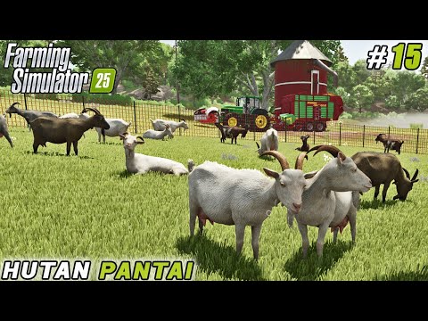 Investing in Goats: Starting Our Livestock Adventure | Hutan Pantai Farm | FS 25 | Timelapse #15