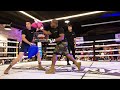 Pillow Fighting Championship Insights