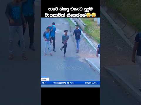 ගැහුවා නේද පාරටම😅 #cricketlover #cricketshorts #shortvideo