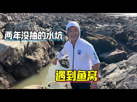 两年没抽的水坑，这是抽到鱼窝了吗，好久没抓这么过瘾了