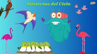 Aves Migratorias, ¿Cómo Vuelan? y Luciérnagas | Educativos Para Niños