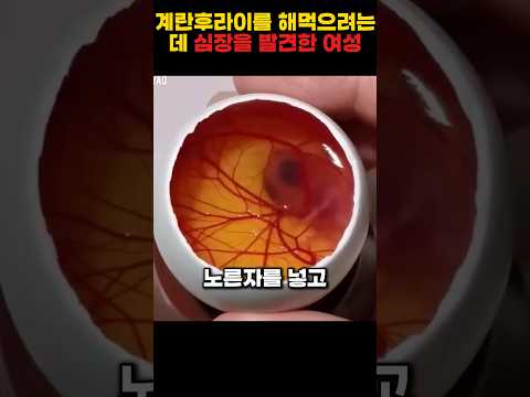 계란후라이를 먹으려다 생명체를 발견해서 구해주니..