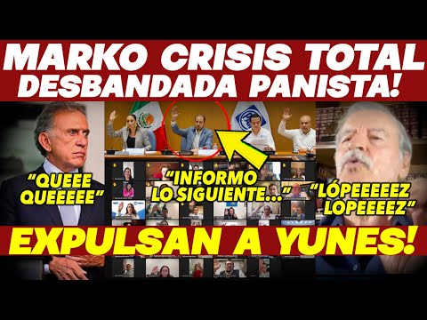 PANICO TOTAL! PAN SE CAE A PEDAZOS ¡DESBANDADA PANISTA! EXPULSAN A YUNES. SUELTA TODO. URGENTE