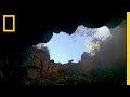 Sediba's Mysterious Fall