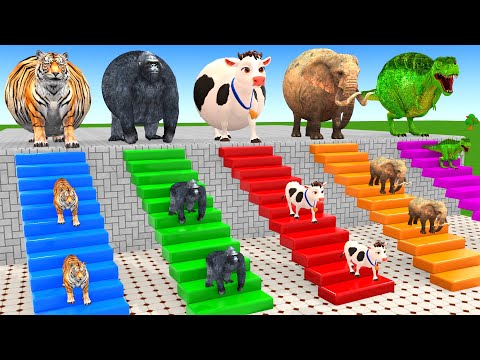 Long Slide Game With Cow Elephant Gorilla Hippopotamus Tiger 3d Animal Game Funny 3d Animals
