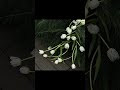 Comparing Major Concepts and Applications